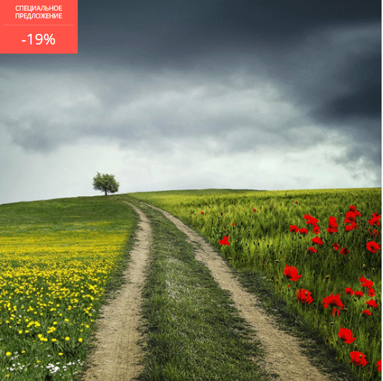 Фотография_ 4 в 1 - Русаков (2018)_0.png